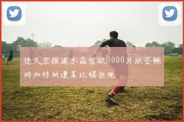 德天空报道水晶宫欲3000万欧签鲍姆加特纳遭莱比锡拒绝