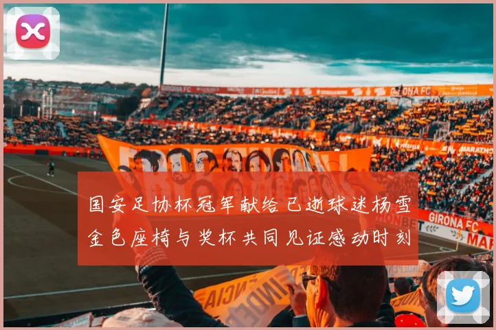 国安足协杯冠军献给已逝球迷杨雪金色座椅与奖杯共同见证感动时刻