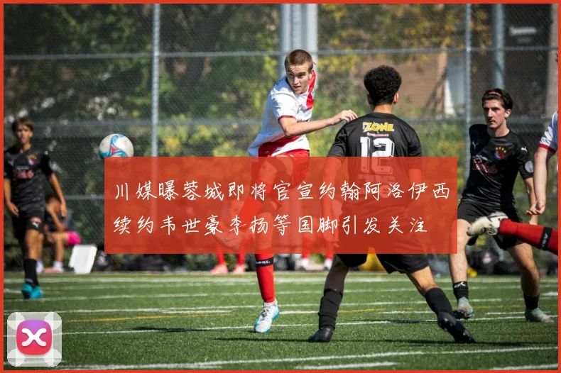 川媒曝蓉城即将官宣约翰阿洛伊西续约韦世豪李扬等国脚引发关注