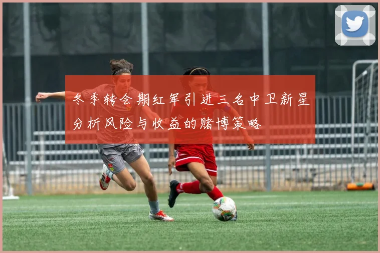冬季转会期红军引进三名中卫新星分析风险与收益的赌博策略